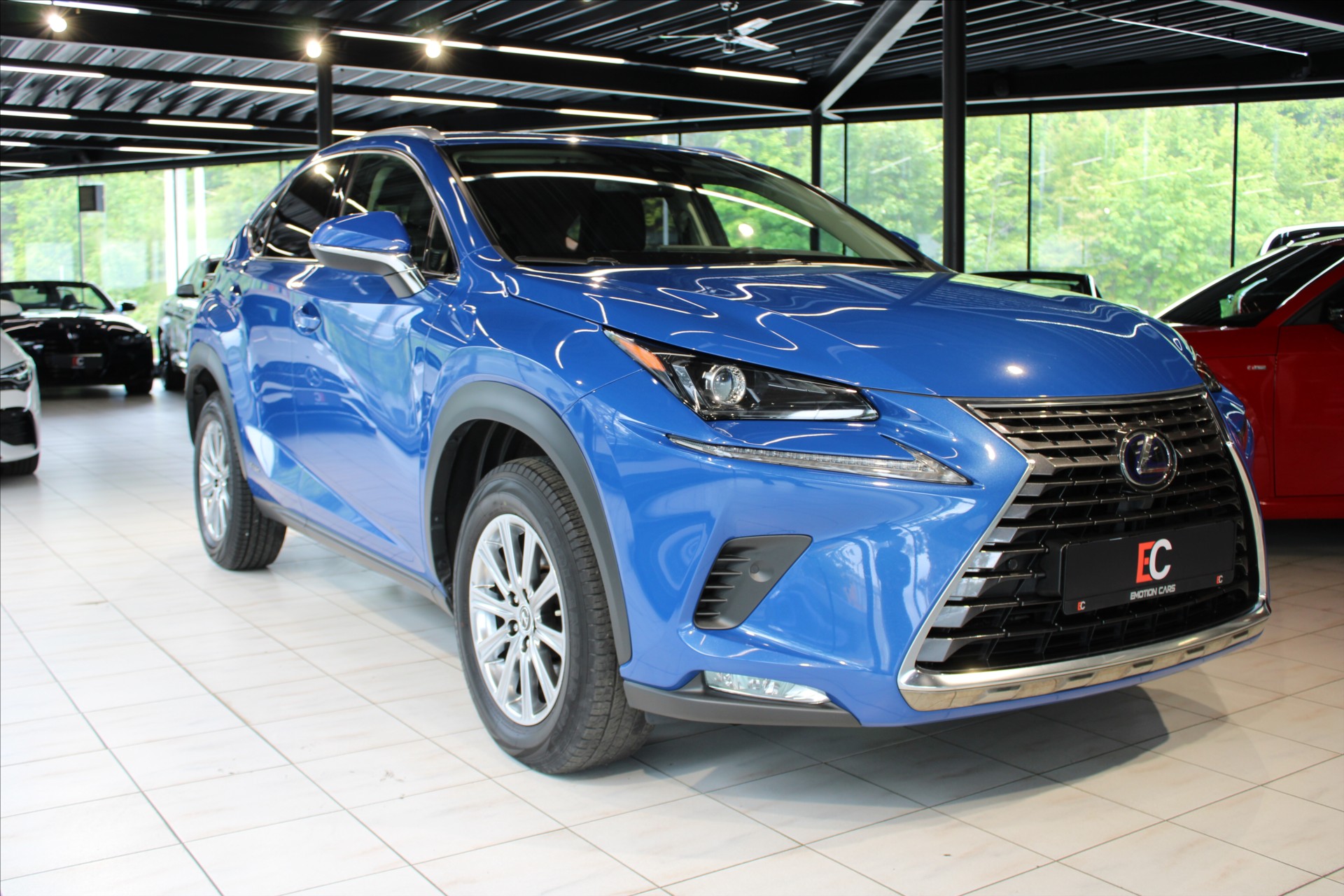 Lexus NX 300h 