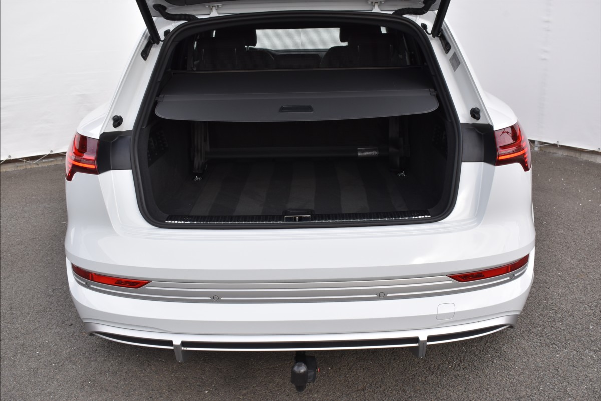 Audi e-tron S  370 Quattro Digital LED - 11