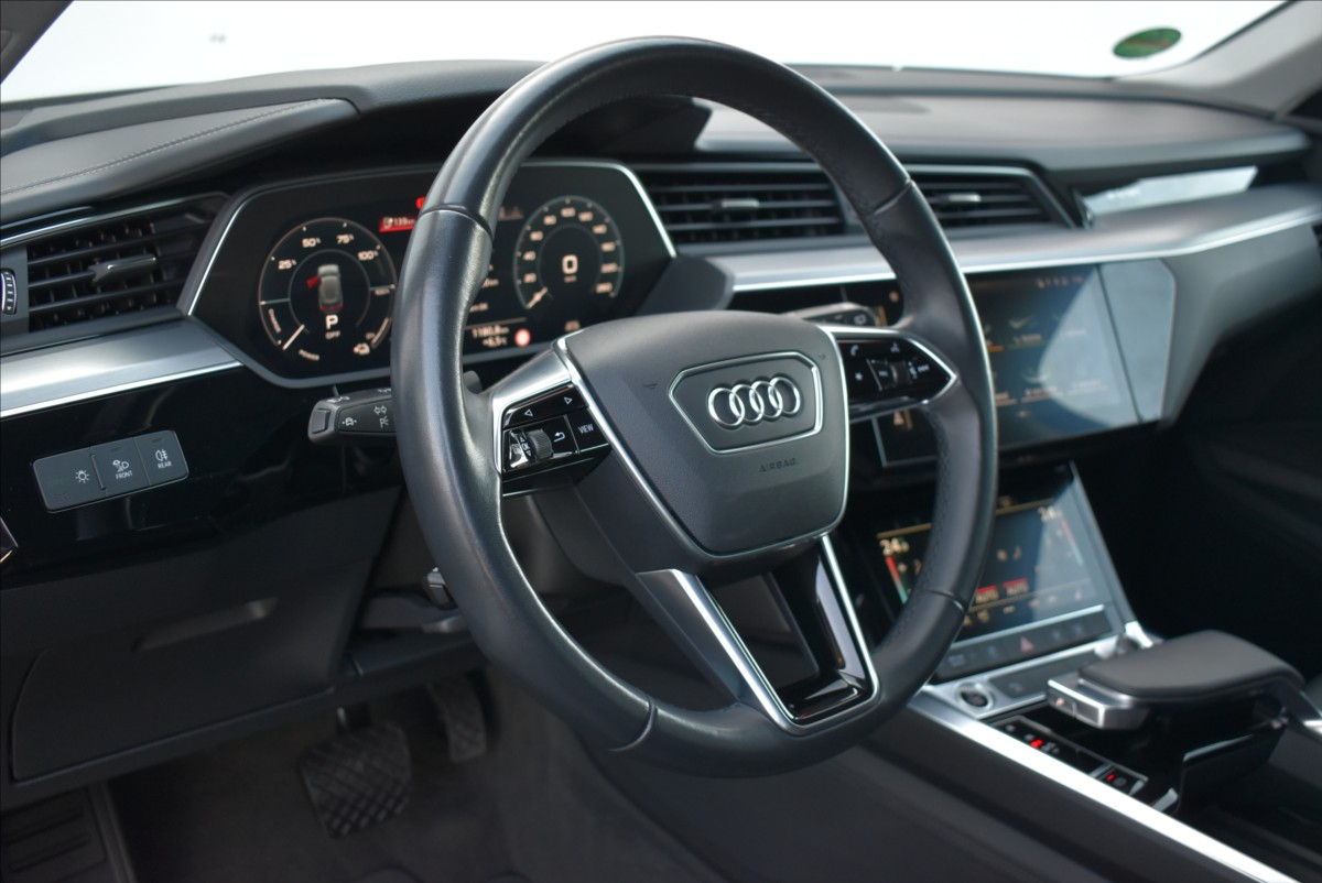 Audi e-tron 0,0 55  300KW S-Line Panorama - 18