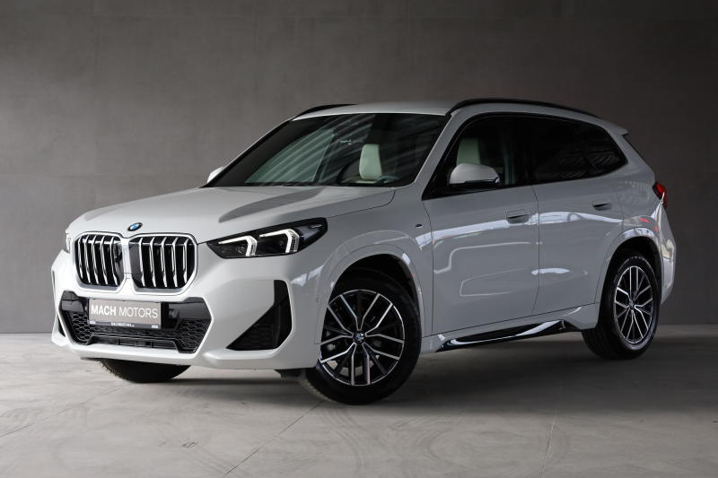 BMW X1 18i sDrive, M-Paket, ACC